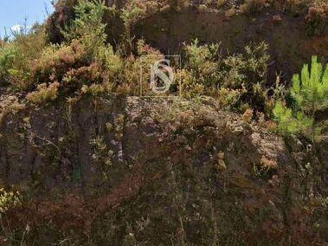 Terreno venda em Amarante, Porto