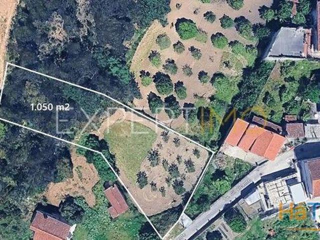 Terreno venda em Coimbrã, Coimbra