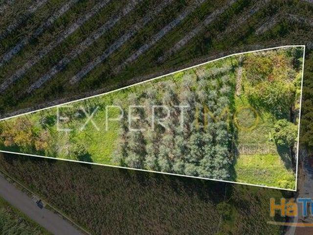 Terreno venda em Coimbrã, Coimbra