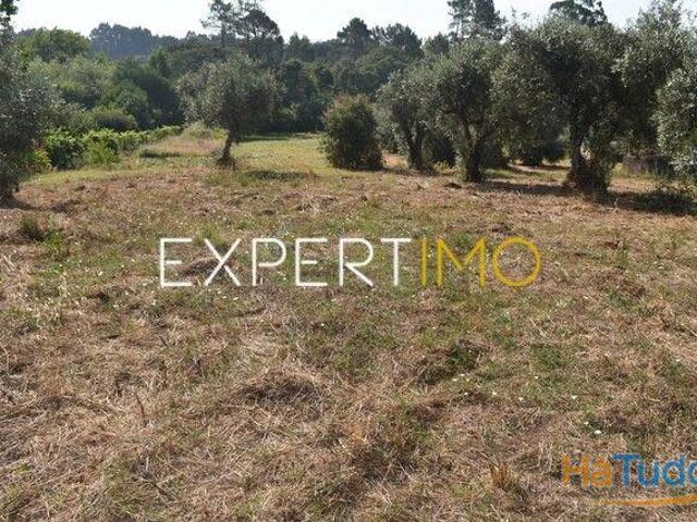 Terreno venda em Figueiró Dos Vinhos, Leiria