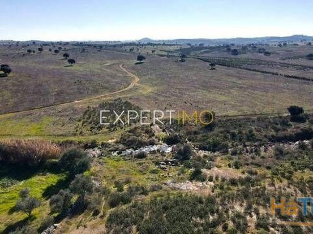 Terreno venda em Almodôvar, Beja
