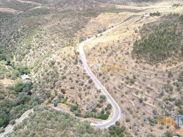 Terreno venda em Nisa, Portalegre