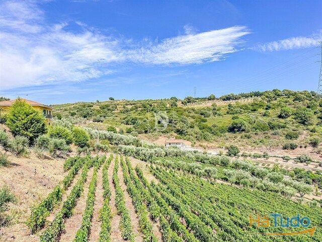 Terreno venda em Peso da Régua, Vila Real
