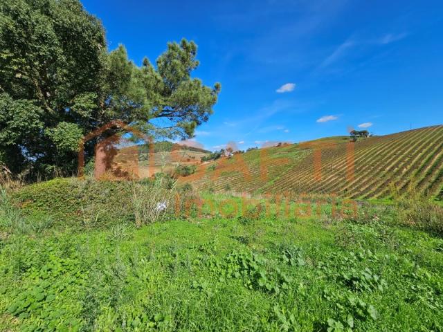 Terreno venda em Mafra, Lisboa