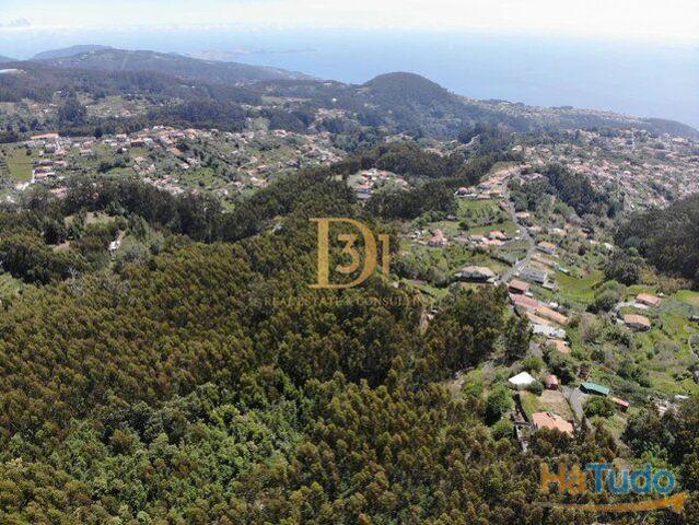 Terreno venda em Machico