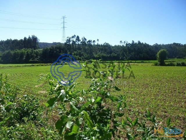 Terreno venda em Valongo, Porto