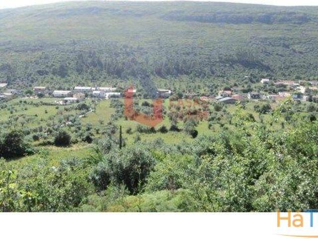 Terreno venda em Porto De Mós, Leiria