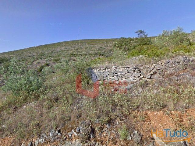 Terreno venda em Batalha, Leiria