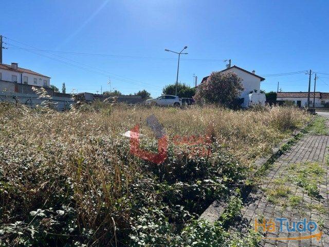Terreno venda em Porto De Mós, Leiria