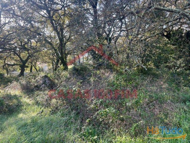 Terreno venda em Porto De Mós, Leiria