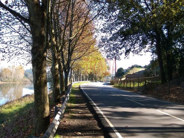 Terreno venda em Palmeira, Braga