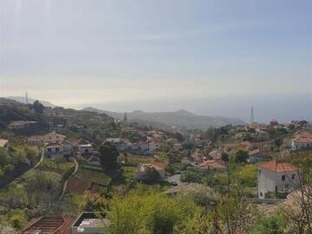 Terreno venda em Câmara De Lobos