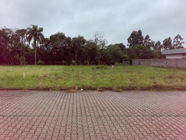 Terreno venda em Vera Cruz Terreno venda em Vera Cruz