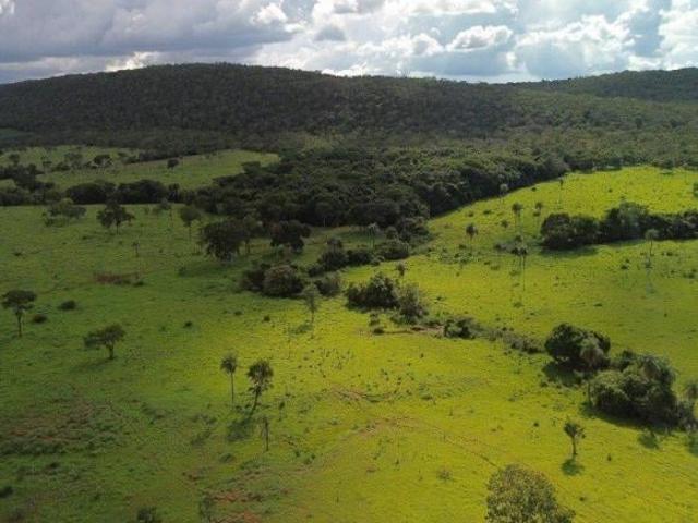 Sítio e chácara venda em Região Geográfica Imediata de Águas Lindas de Goiás, Região Integrada de Desenvolvimento do Distrito Federal e Entorno