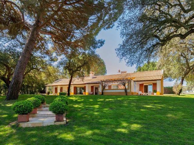 Casa venda em Castelo Branco, Vila De Rei