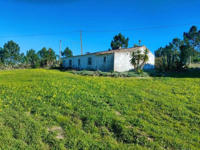 Casa venda em Castelo Branco, Vila De Rei