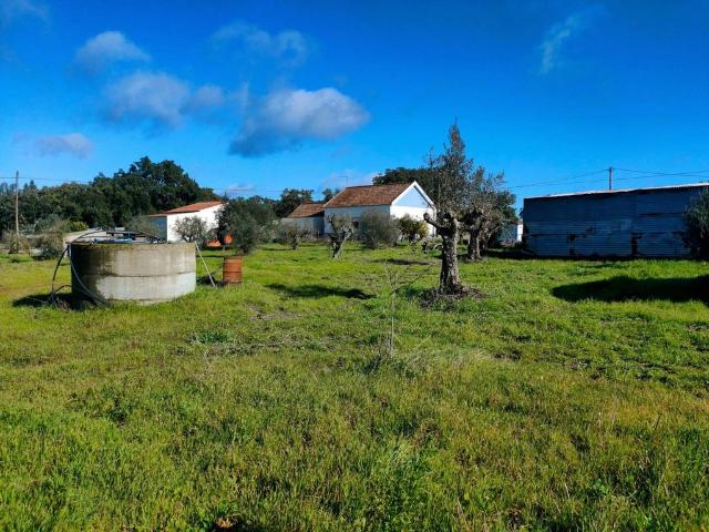 Casa venda em Castelo Branco, Vila De Rei