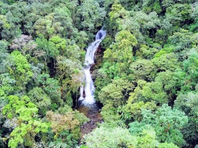 Fazenda venda em Região Geográfica Imediata de Paranaguá, Morretes