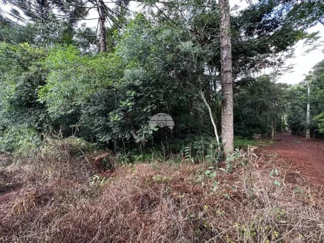 Fazenda venda em Região Geográfica Imediata de Pato Branco, Região Sul