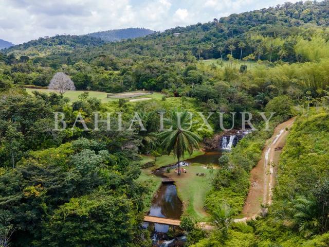 Fazenda venda em Itacaré, Região Geográfica Intermediária de Ilhéus-Itabuna