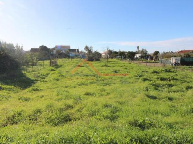 Terreno venda em Vendas Novas Terreno venda em Vendas Novas
