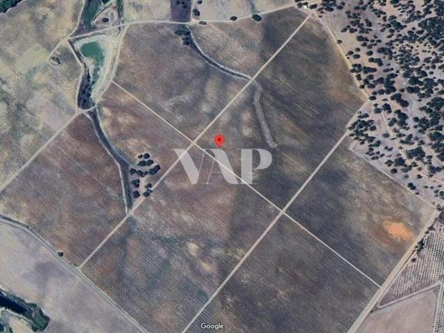 Terreno venda em Vendas Novas, Évora