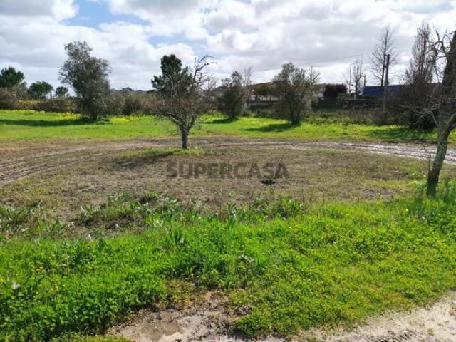 Terreno venda em Vendas Novas, Évora
