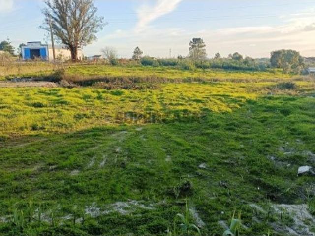Terreno venda em Vendas Novas, Évora