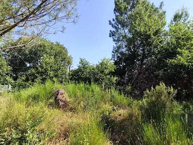 Terrain vente à Lesparre-Médoc, Vendays-montalivet
