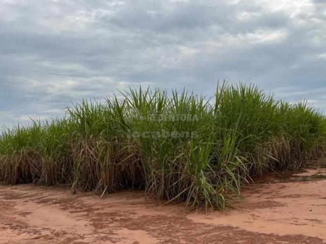 Sítio e chácara venda em Região Imediata de Barretos, Região Metropolitana de São José do Rio Preto