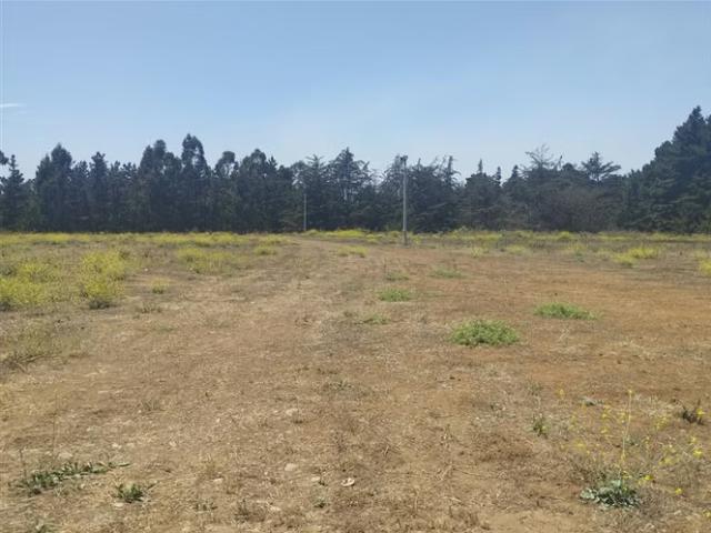 Local Comercial en venta en Cartagena, Provincia de San Antonio