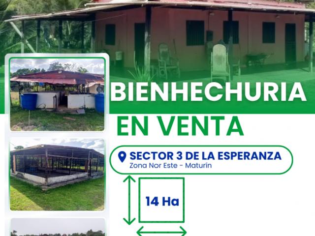 Finca en venta en Maturin, Monagas