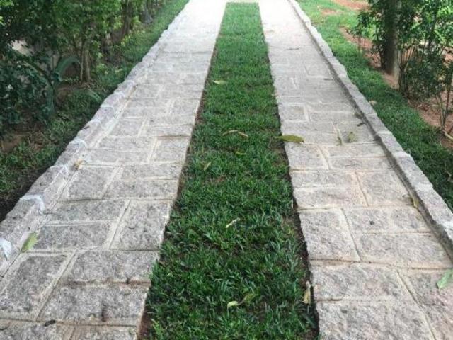 Sítio e chácara venda em São Francisco do Pinhal, Cabreuva