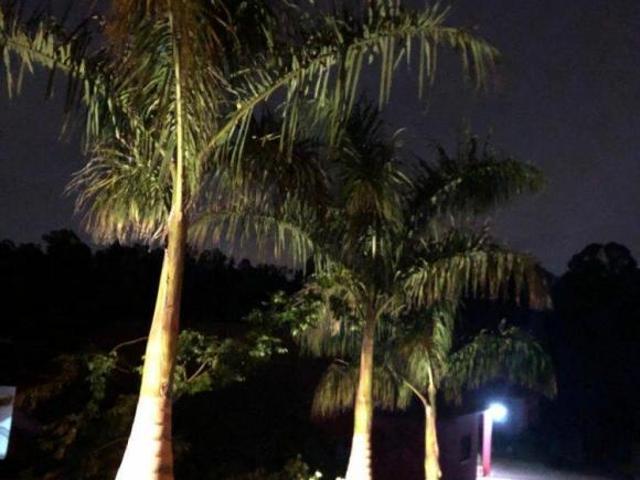 Sítio e chácara venda em São Francisco do Pinhal, Cabreuva