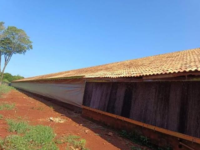 Sítio e chácara venda em Região Geográfica Imediata de Marechal Cândido Rondon, Marechal Cândido Rondon