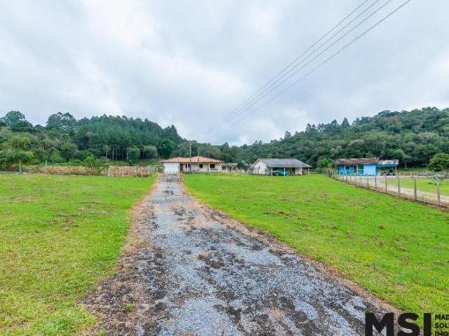 Sítio e chácara venda em Vila Jardim Santa Ângela, Campo Largo