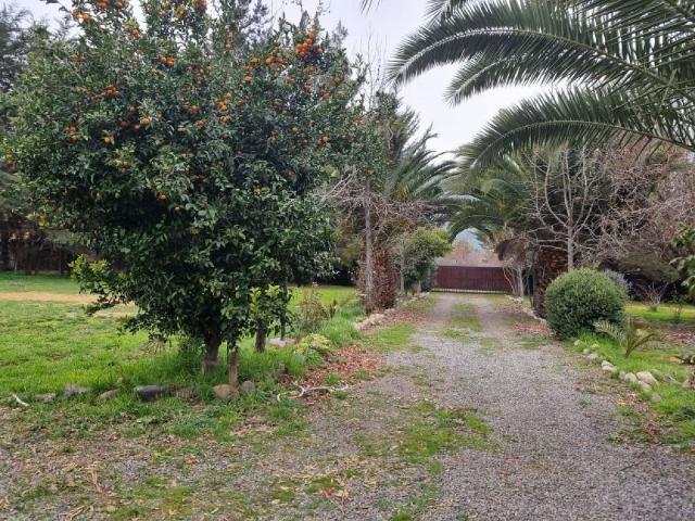 Terreno en arriendo en Peuco, Mostazal