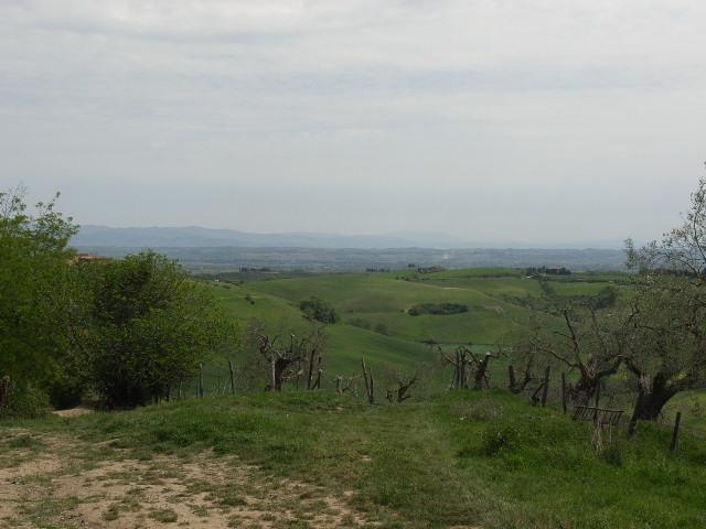 Rustico in vendita a Torrita, Toscana