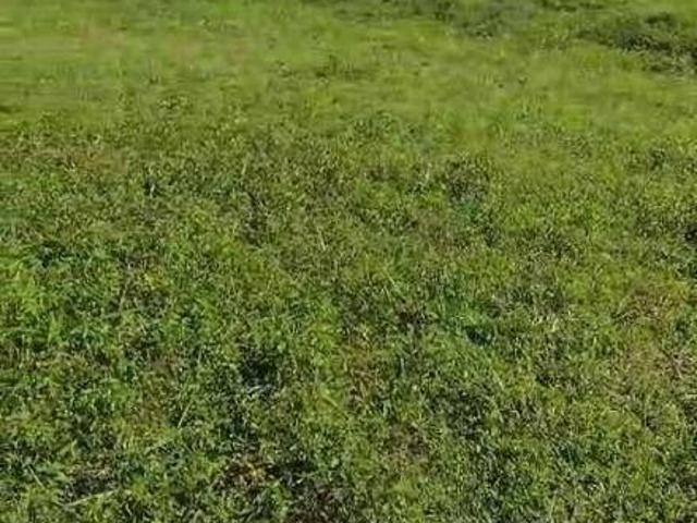 Terreno venda em Região Geográfica Imediata de Iturama, União de Minas
