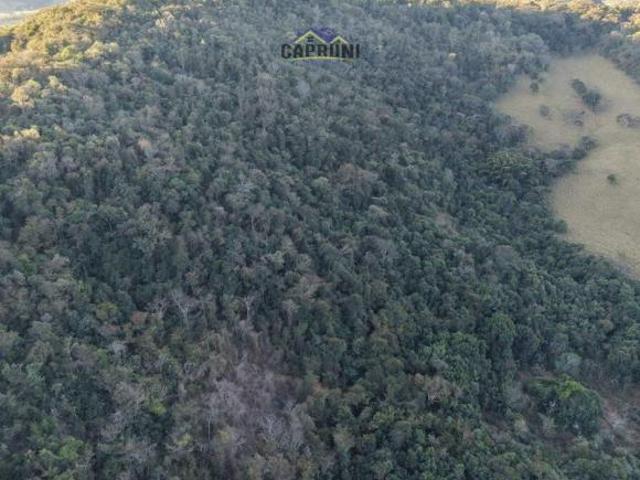 Terreno venda em Região Geográfica Imediata de Oliveira, Passa Tempo