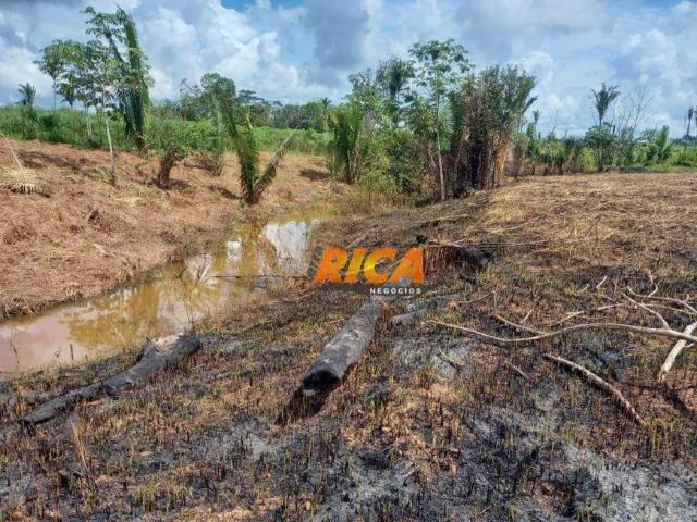 Fazenda venda em Região Geográfica Imediata de Porto Velho, Porto Velho