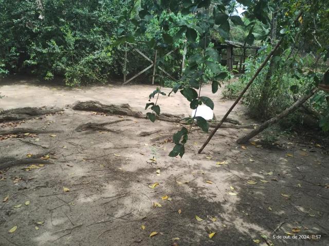 Fazenda venda em Região Geográfica Imediata do Recife, Região Metropolitana do Recife