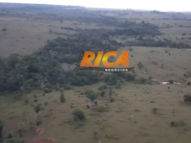 Fazenda venda em Região Geográfica Imediata de Porto Velho, Porto Velho