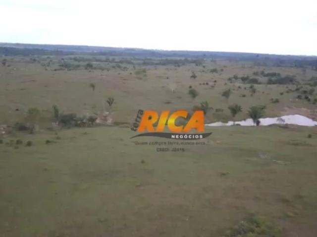 Fazenda venda em Região Geográfica Imediata de Porto Velho, Porto Velho