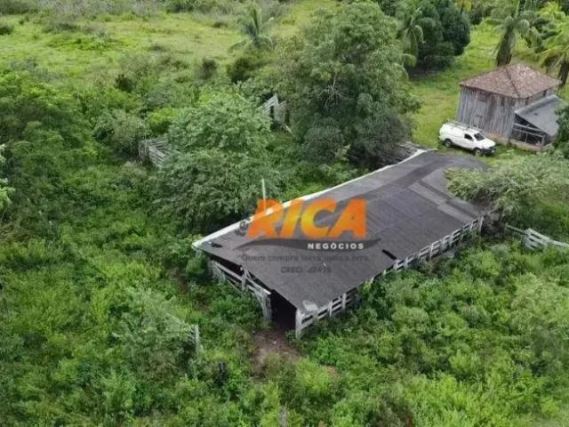 Fazenda venda em Região Geográfica Imediata de Porto Velho, Guajara-Mirim