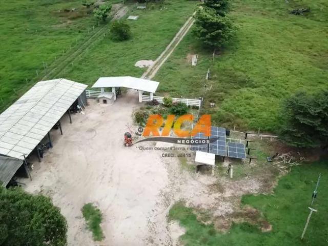Fazenda venda em Região Geográfica Imediata de Porto Velho, Porto Velho