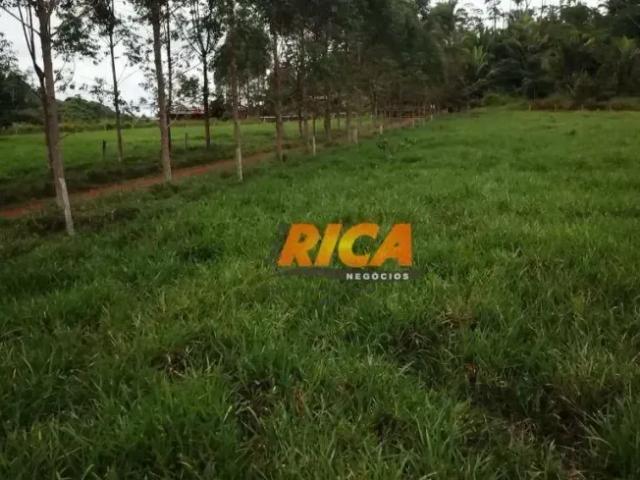 Fazenda venda em Região Geográfica Imediata de Porto Velho, Porto Velho