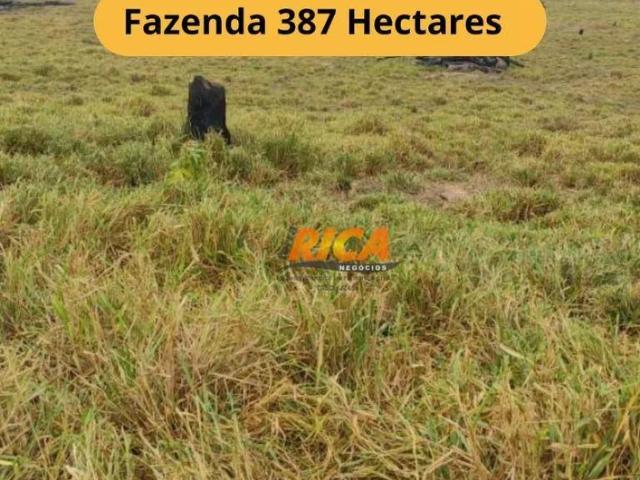 Fazenda venda em Região Geográfica Imediata de Porto Velho, Porto Velho