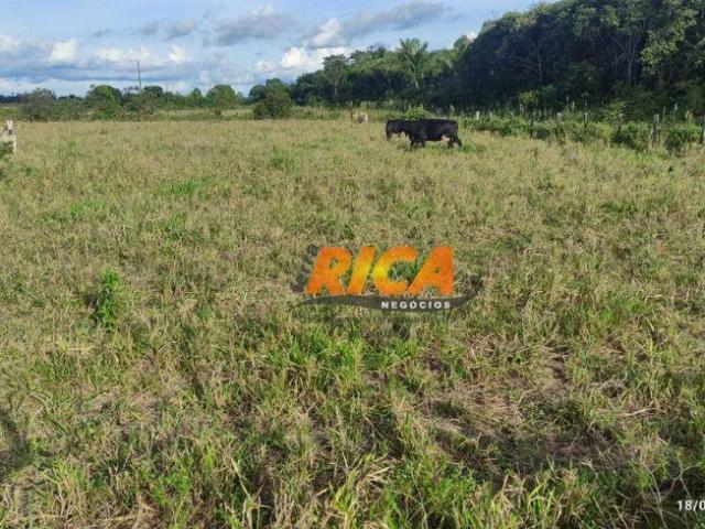 Fazenda venda em Região Geográfica Imediata de Porto Velho, Porto Velho