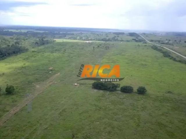 Fazenda venda em Região Geográfica Imediata de Porto Velho, Porto Velho